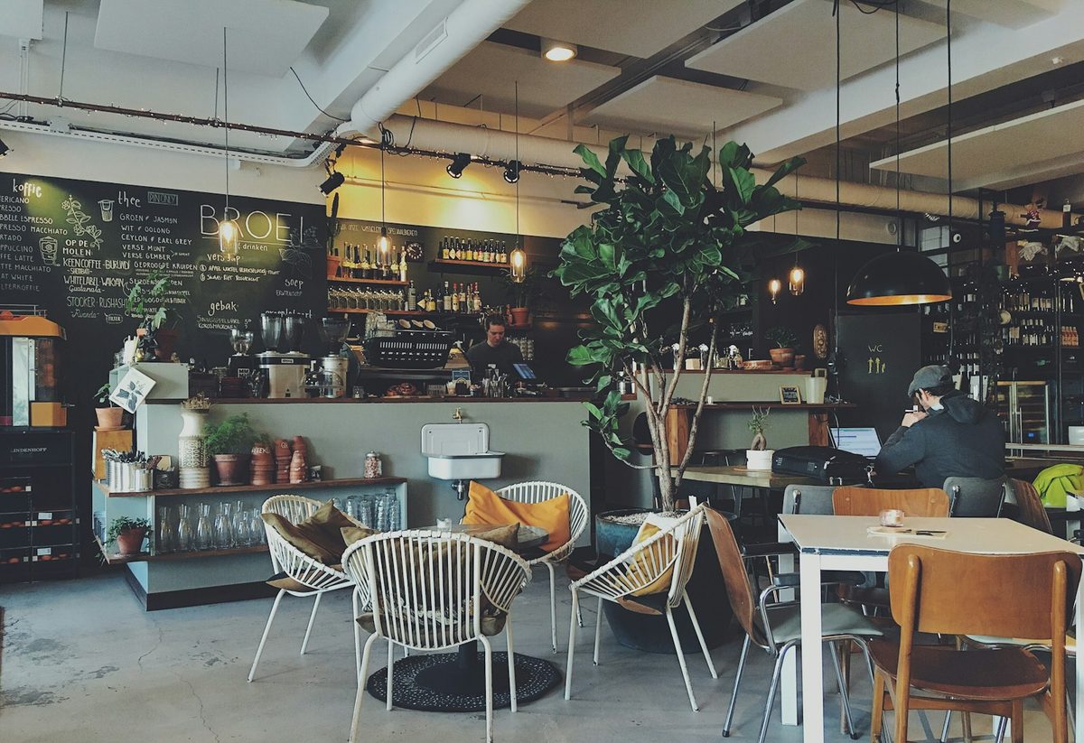 The warm interior of a small independent coffee bar with hanging plants, a polished espresso machine, and afternoon light through tall windows.
