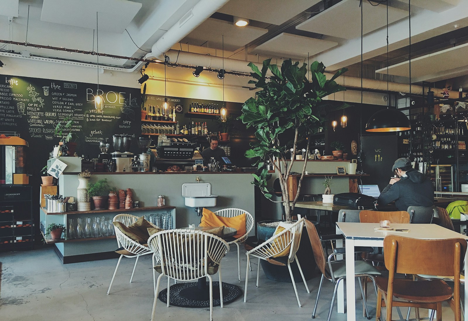 The warm interior of a small independent coffee bar with hanging plants, a polished espresso machine, and afternoon light through tall windows.